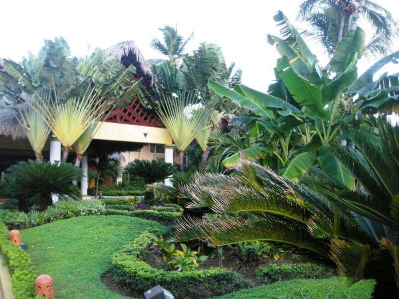 Vik Hotel Cayena Beach All Inclusive Punta Cana Ngoại thất bức ảnh